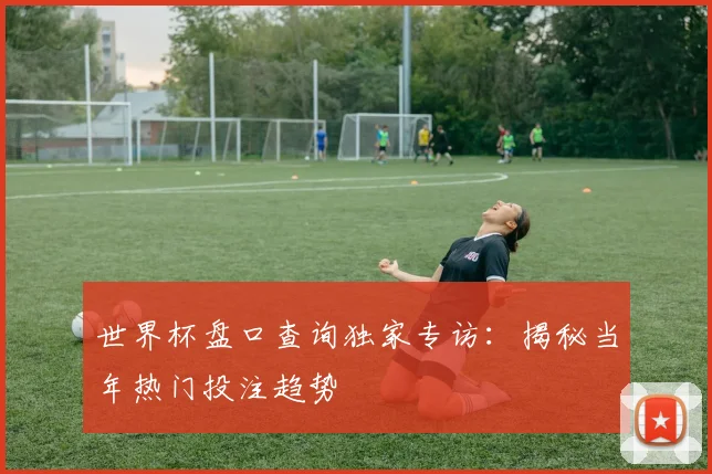 世界杯盘口查询独家专访：揭秘当年热门投注趋势