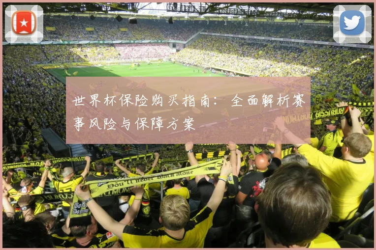 世界杯保险购买指南：全面解析赛事风险与保障方案