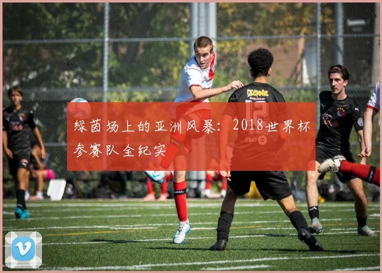 绿茵场上的亚洲风暴：2018世界杯参赛队全纪实