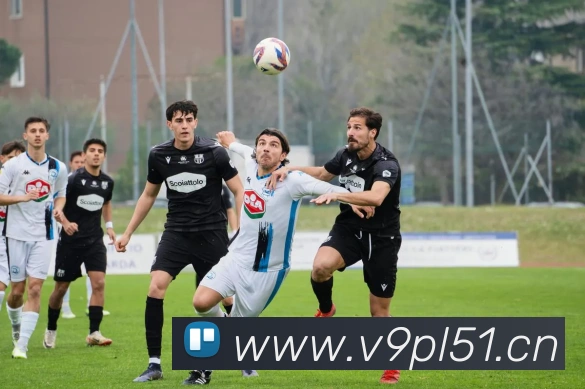 星空网官方网站入口品牌故事