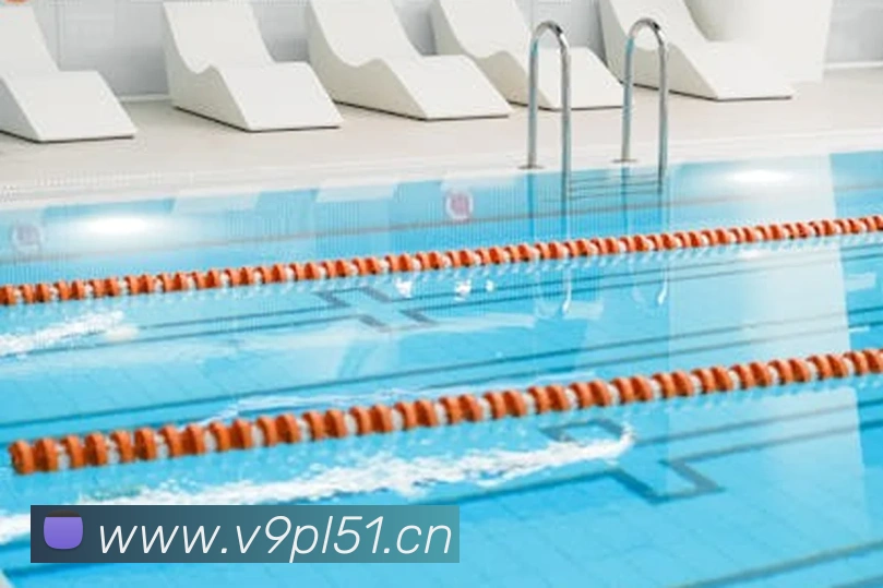 星空网官方网站入口服务体系